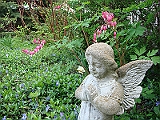 73 Nancy's Garden [2009 May 10]